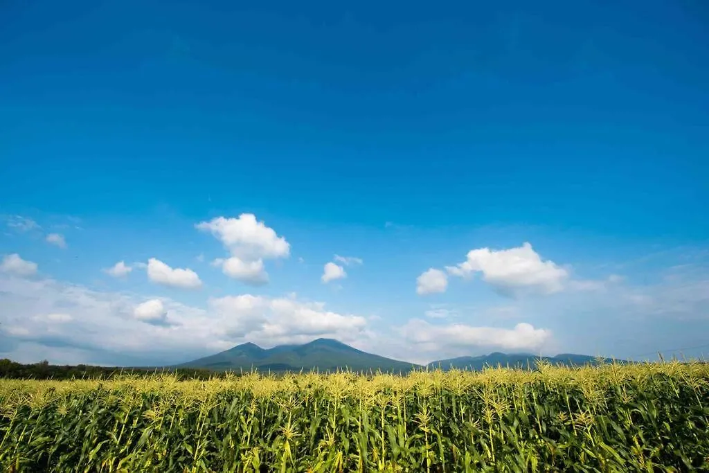 Furano Blue Star Apartment
